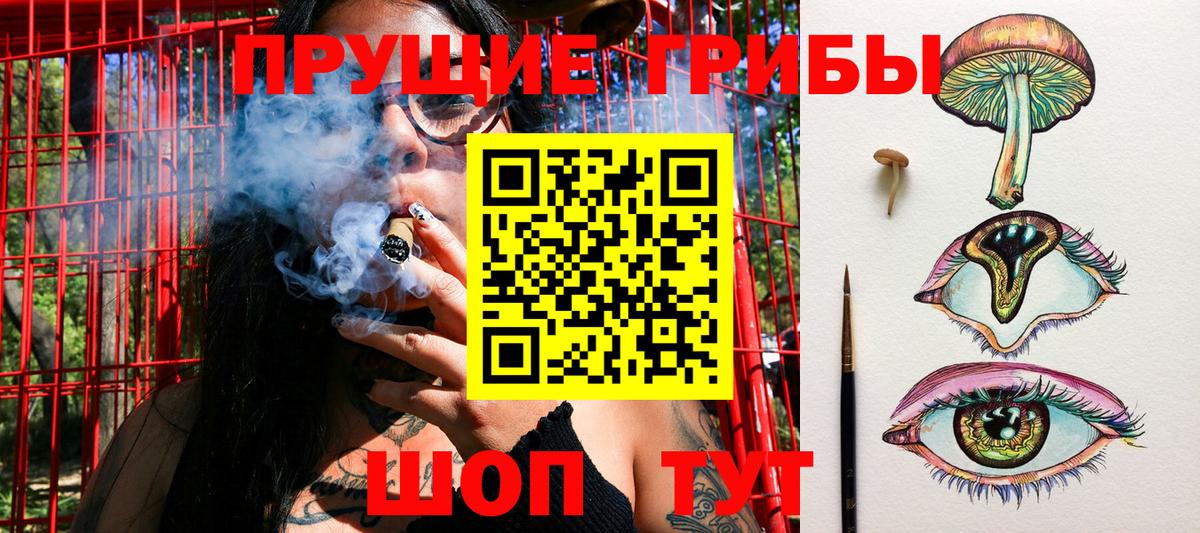 Галлюциногенные грибы Psilocybine cubensis Заволжье
