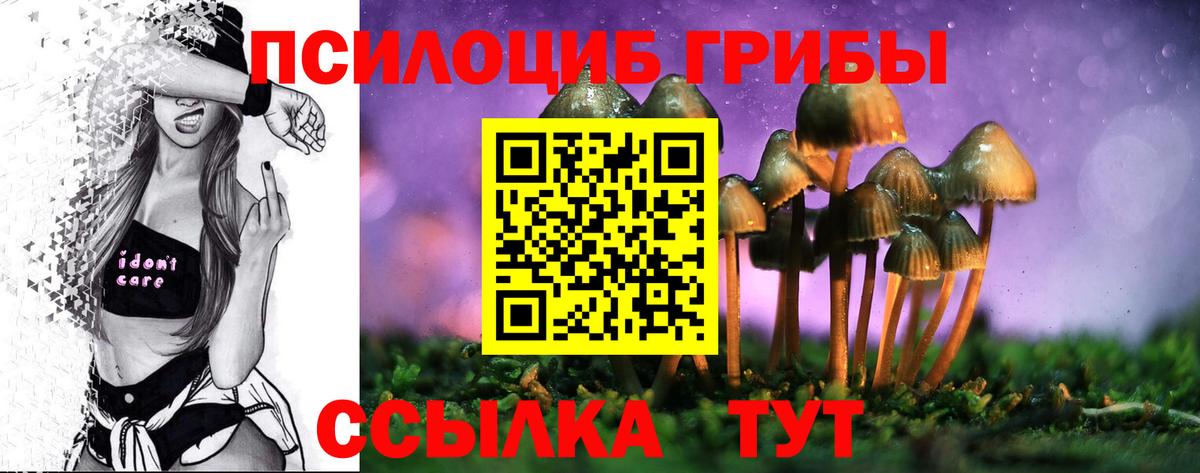 купить   Вход с VPN  Заволжье  Псилоцибиновые грибы Magic Shrooms 